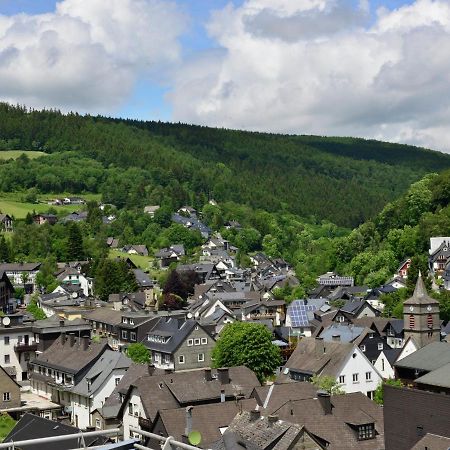 Beautiful Apartment In Willingen With Balcony Exterior foto